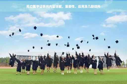 死亡医学证明书内容详解，重要性、应用及几联结构