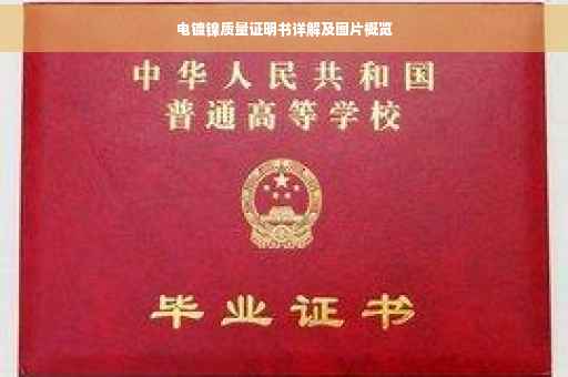电镀镍质量证明书详解及图片概览