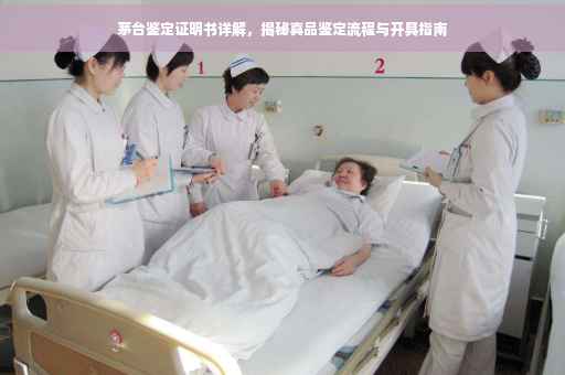 茅台鉴定证明书详解，揭秘真品鉴定流程与开具指南