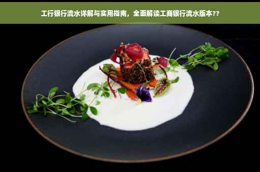 工行银行流水详解与实用指南，全面解读工商银行流水版本??