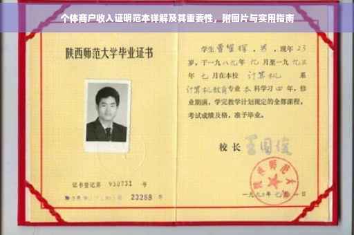 个体商户收入证明范本详解及其重要性，附图片与实用指南