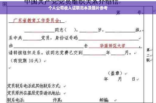 个人公司收入证明范本及图片参考