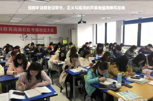 保释申请释放证明书，正义与程序的双重考量及撰写指南