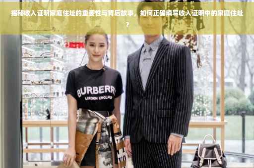 揭秘收入证明家庭住址的重要性与背后故事，如何正确填写收入证明中的家庭住址？