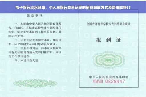 电子银行流水账单，个人与银行交易记录的便捷获取方式及费用解析??