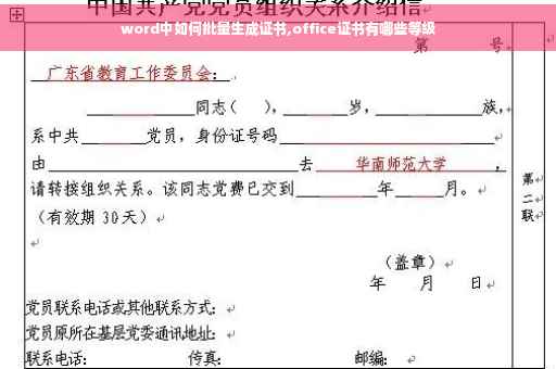 word中如何批量生成证书,office证书有哪些等级