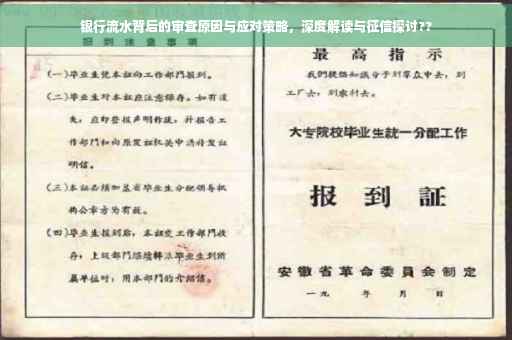 银行流水背后的审查原因与应对策略，深度解读与征信探讨??