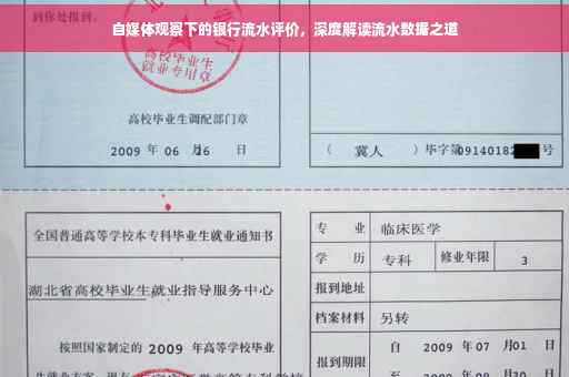 自媒体观察下的银行流水评价，深度解读流水数据之道