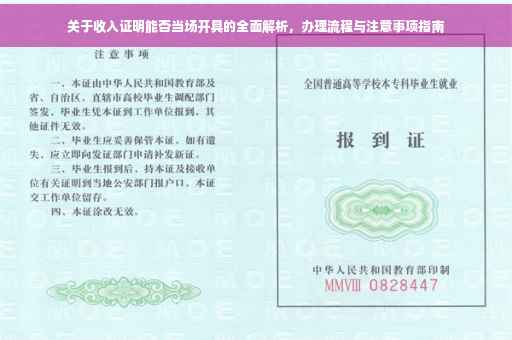 关于收入证明能否当场开具的全面解析，办理流程与注意事项指南