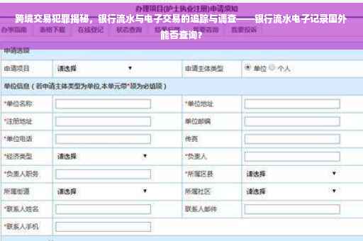 跨境交易犯罪揭秘，银行流水与电子交易的追踪与调查——银行流水电子记录国外能否查询？