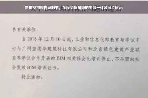 新馆疫苗接种证明书，全民免疫屏障的关键一环及图片展示