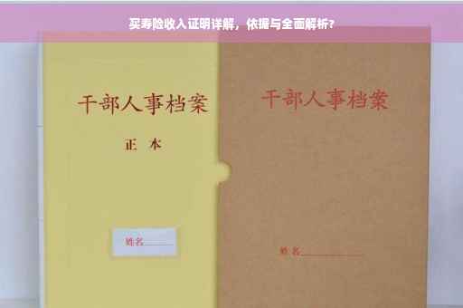 买寿险收入证明详解，依据与全面解析?