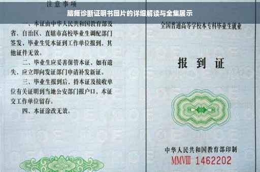 脑瘫诊断证明书图片的详细解读与全集展示