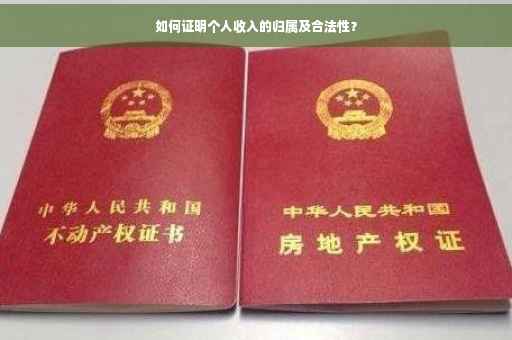 如何证明个人收入的归属及合法性？