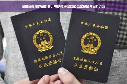 国家免疫接种证明书，守护孩子健康的坚实屏障与图片介绍
