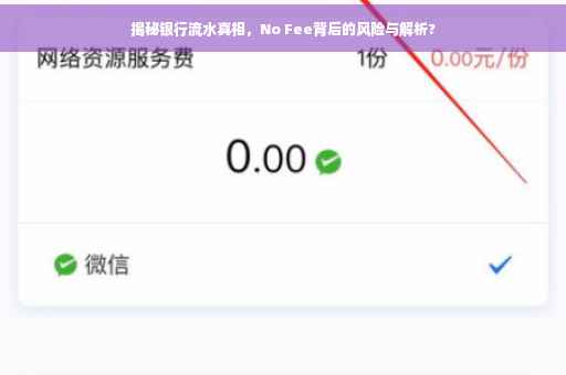 揭秘银行流水真相，No Fee背后的风险与解析?