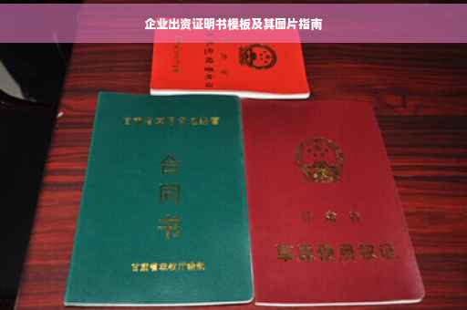 企业出资证明书模板及其图片指南