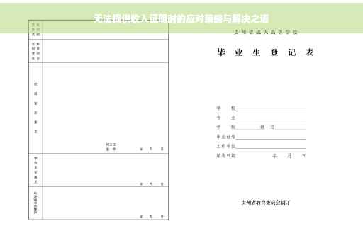 无法提供收入证明时的应对策略与解决之道