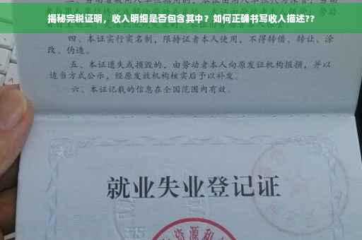 揭秘完税证明，收入明细是否包含其中？如何正确书写收入描述??