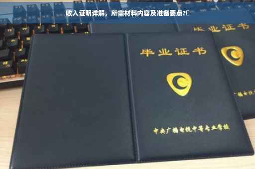 收入证明详解，所需材料内容及准备要点?✨
