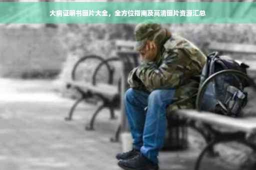 大病证明书图片大全，全方位指南及高清图片资源汇总