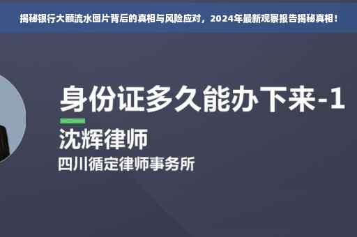 揭秘银行大额流水图片背后的真相与风险应对，2024年最新观察报告揭秘真相！