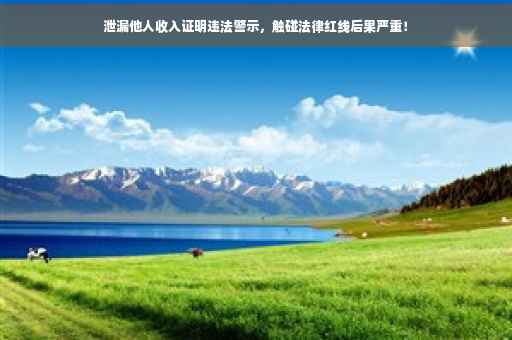 泄漏他人收入证明违法警示，触碰法律红线后果严重！