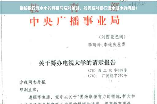 揭秘银行流水小的真相与应对策略，如何应对银行流水过小的问题？