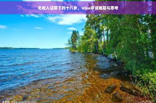 无收入证明下的十八岁，Visa申请难题与思考