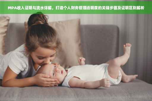MPA收入证明与流水详解，打造个人财务管理透明度的关键步骤及证明区别解析