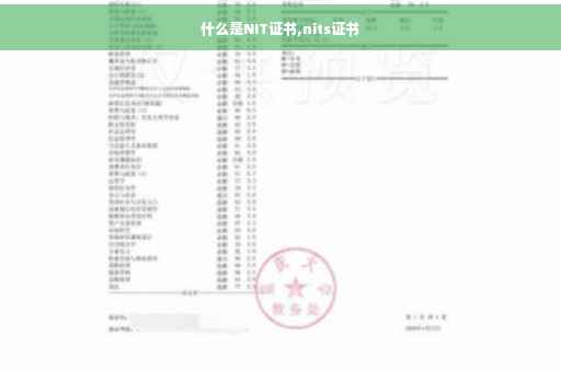 什么是NIT证书,nits证书 什么是NIT证书,nits证书