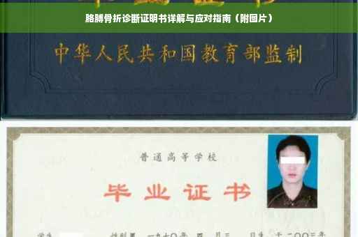 胳膊骨折诊断证明书详解与应对指南（附图片）