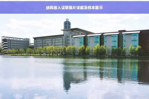 纳税收入证明图片详解及样本展示