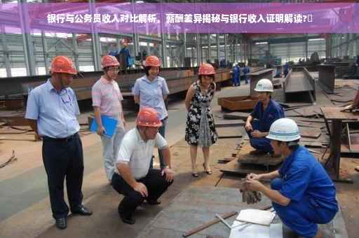 银行与公务员收入对比解析，薪酬差异揭秘与银行收入证明解读?✨