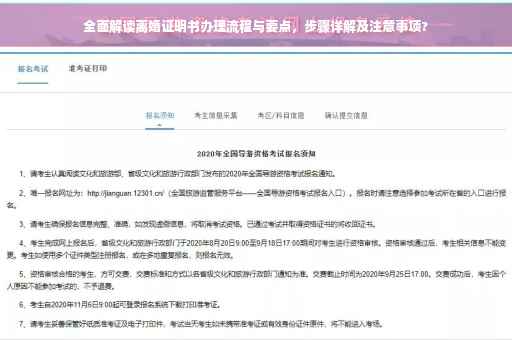 全面解读离婚证明书办理流程与要点，步骤详解及注意事项?