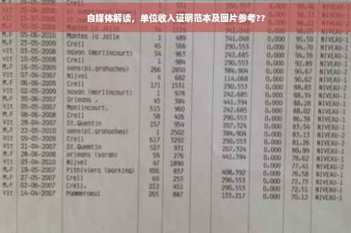 自媒体解读，单位收入证明范本及图片参考??