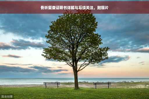 骨折复查证明书详解与后续关注，附图片