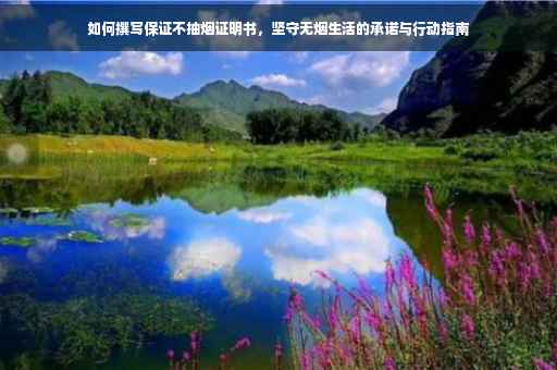 如何撰写保证不抽烟证明书，坚守无烟生活的承诺与行动指南