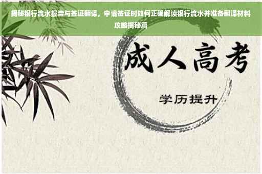 揭秘银行流水报告与签证翻译，申请签证时如何正确解读银行流水并准备翻译材料攻略揭秘篇