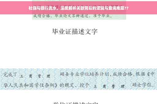 社保与银行流水，深度解析关联背后的逻辑与查询难题??