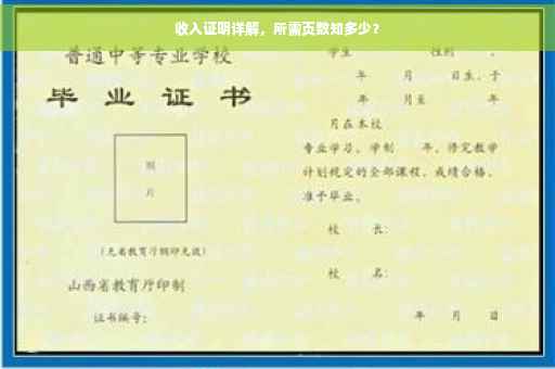 收入证明详解，所需页数知多少？