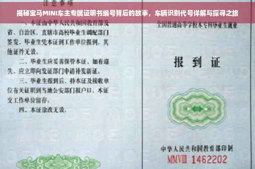 揭秘宝马MINI车主专属证明书编号背后的故事，车辆识别代号详解与探寻之旅