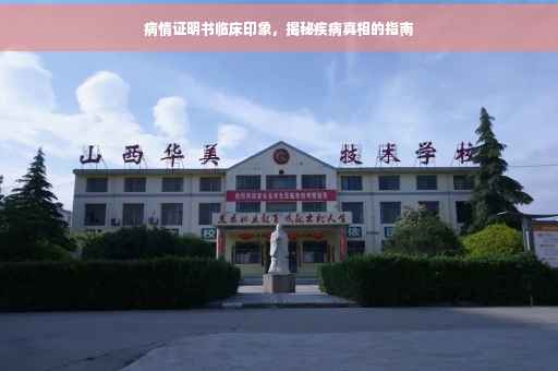 病情证明书临床印象，揭秘疾病真相的指南