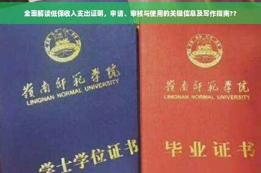 全面解读低保收入支出证明，申请、审核与使用的关键信息及写作指南??