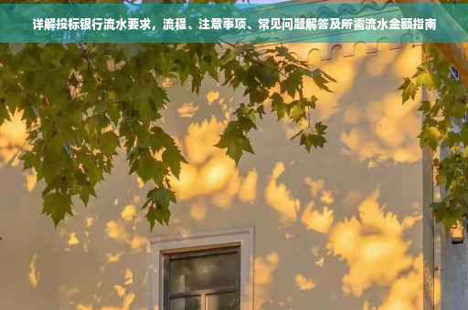 详解投标银行流水要求，流程、注意事项、常见问题解答及所需流水金额指南