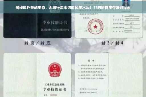 揭秘境外金融生态，无银行流水也能风生水起！??的别样生存法则探索