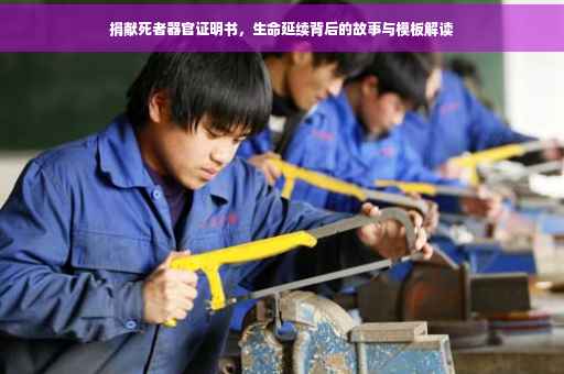 捐献死者器官证明书，生命延续背后的故事与模板解读