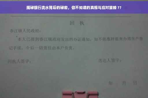 揭秘银行流水背后的秘密,你不知道的真相与应对策略 ?? 揭秘银行流水背后的秘密,你不知道的真相与应对策略 ??