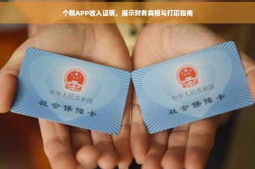 个税APP收入证明，揭示财务真相与打印指南