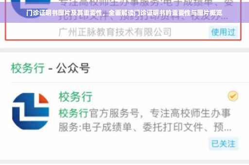 门诊证明书图片及其重要性，全面解读门诊证明书的重要性与图片概览